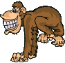 Monkey Dance